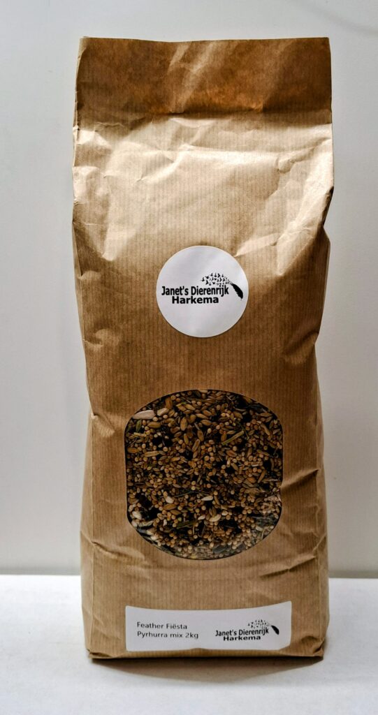 Feather Fiësta Pyrrhura mix