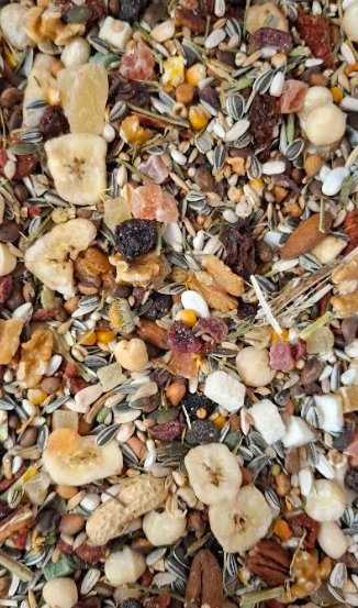 Edelpapegaai mix