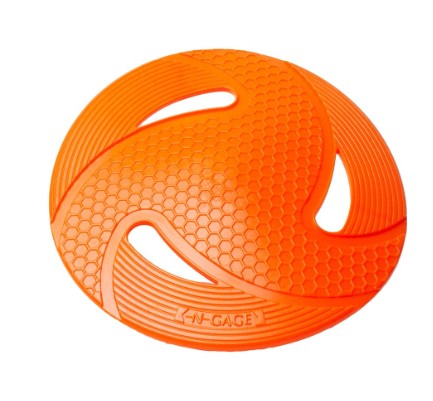 NG – Flyer – Frisbee