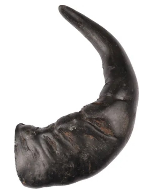 Buffelhoorn Large 400gr