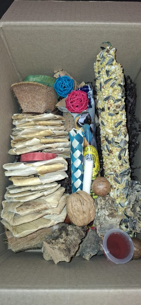 Unboxing Parrot – Parrot Enrichment Box maat M