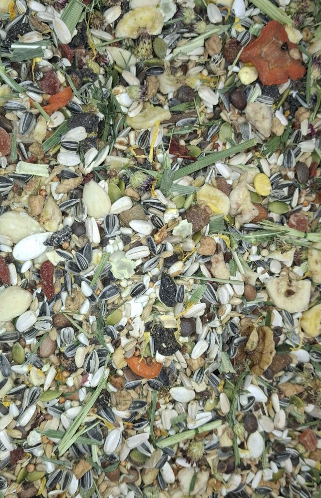 Feather Fiësta Afrika Grof eigen mix